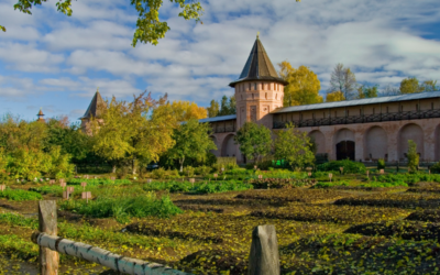 Der Klostergarten und seine Geschichte | Vom Mittelalter bis heute