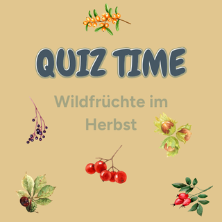 Titelbild mit dem Text Krauterquiz - Wildfruechte im Herbst, der Text ist von 6 kleinen Auarellen, die verschiede Wildfruechte zeigen, umgeben.