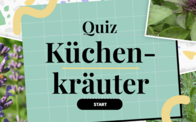 Küchenkräuter-Quiz