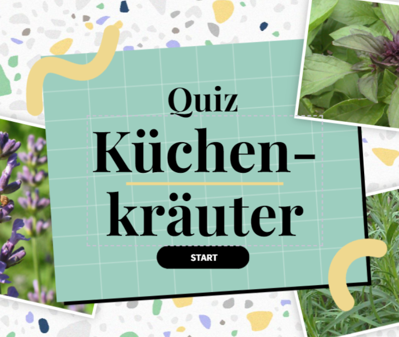 Küchenkräuter-Quiz