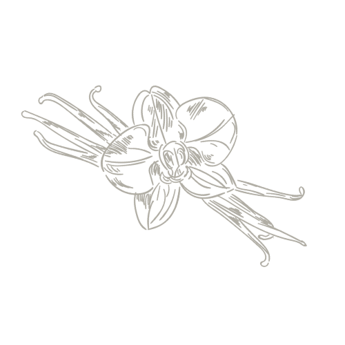 Aquarell eines Gingkoblatts