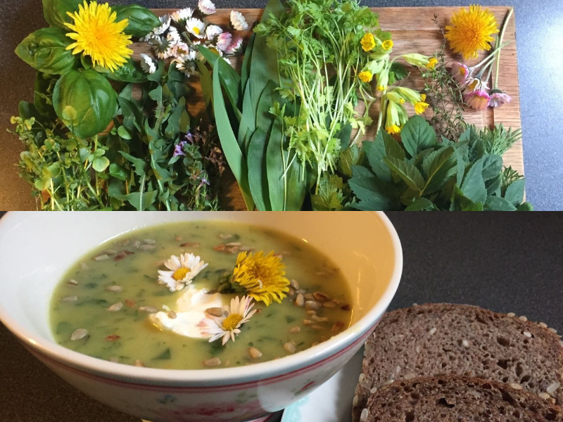 Das Bild ist zweigeteilt, in der oberen H&auml;lfte sind die Kraeuter f&uuml;r die Gr&uuml;ndonnerstagssuppe, im unteren Teil ist ein Bild der Suppe