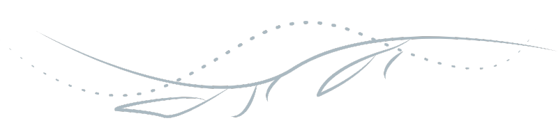 Geschwungen Zier-Trennlinie zwischen zwei Textbloecken