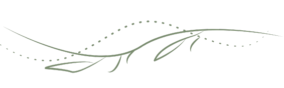 geschwungen Zier-Trennlinie zwischen zwei Textbloecken